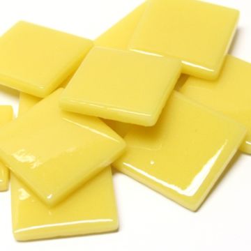 PDV Corn Yellow 031: 100g