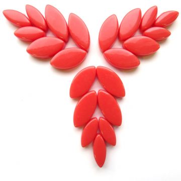 106 Watermelon: 50g