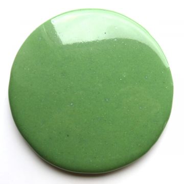 Medallion 155