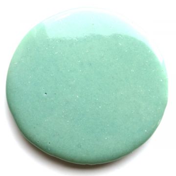 Medallion 161