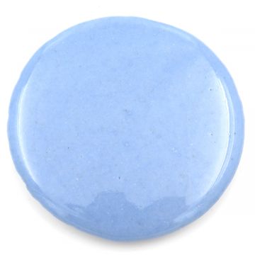Medallion 171