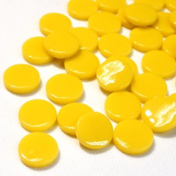 PR Opal Yellow 030: 100g