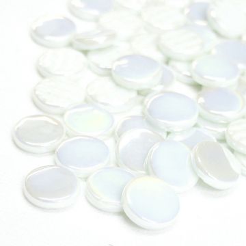 PR Pearlised Opal White 040: 100g