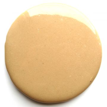 Medallion 193