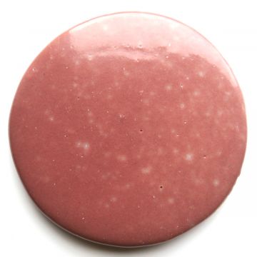 Medallion 195