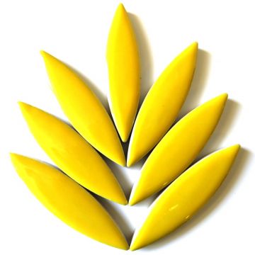 Ellipse: H71 Citrus Yellow