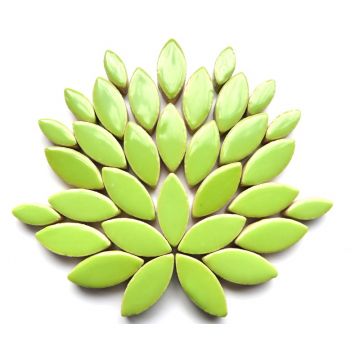 Mini Petals: H143 Kelly Green (disc)