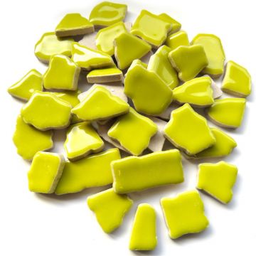 H133 Acid Yellow: 100g