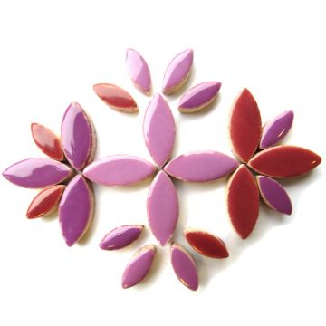 Petal Mix: Thistle: 50g