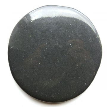 Medallion 201