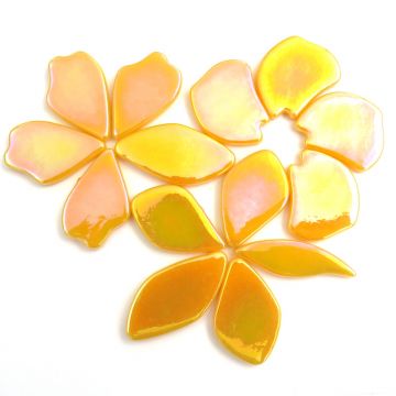 Pearlised Fallen Petals: Goldenrod Bis44P: 50g