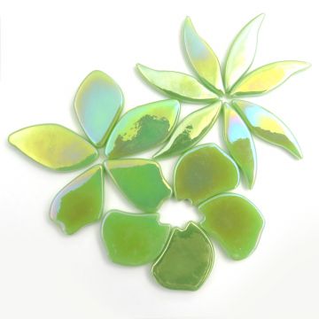 Pearlised Fallen Petals: Mint 003P