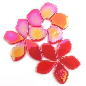 Pearlised Fallen Petals: Watermelon 106P