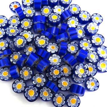 T70 Blue/Yellow Flower: 25g