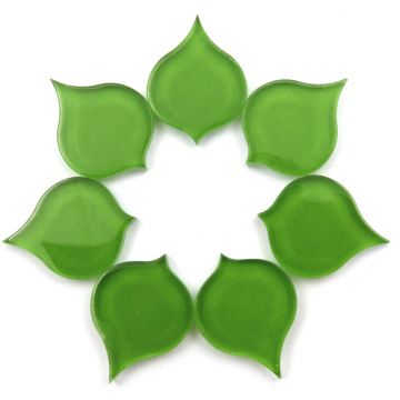 Peacock Eye: Key Lime Pie WHB140  (7 pieces)