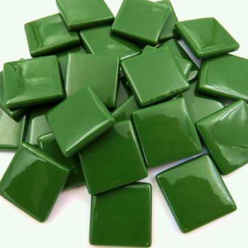PDV: Evergreen Bis118: 100g