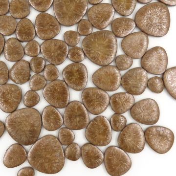 Leather Z17 (loose) disc