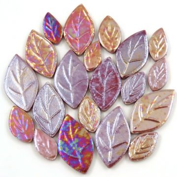 Iridescent Leaf Mix: Caladium (50g)
