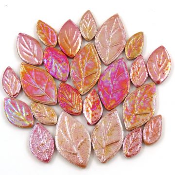 Iridescent Leaf Mix: Poinsettia (50g)