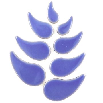 Raindrop: Foxglove: 100g