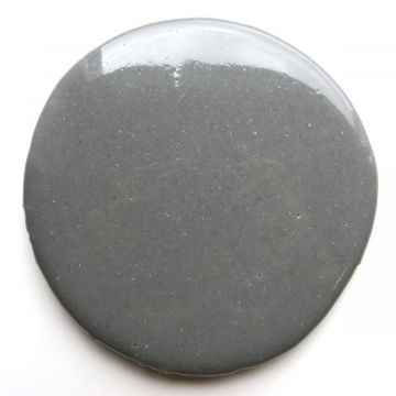 Medallion 202