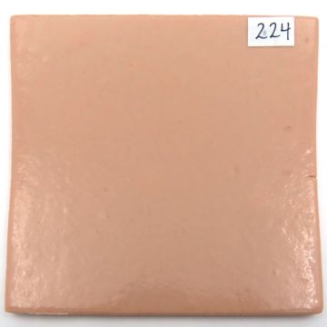 Nude 1: 224