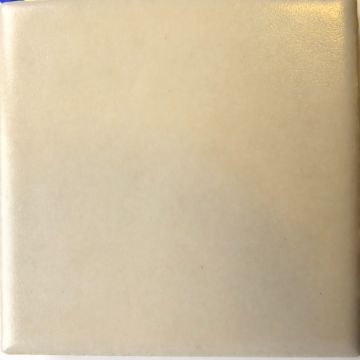 Magnolia 226