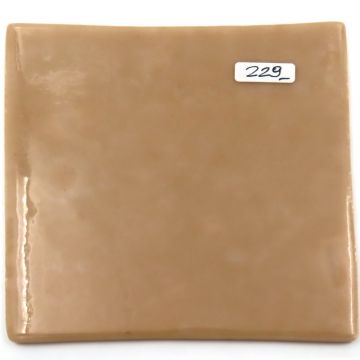 Brown 4: 229