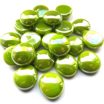 4463 Kiwi Opalescent:100g