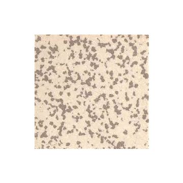 50mm: 501 Bretagne: 9 tiles