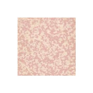50mm: 507 Rose Porfier : 9 tiles