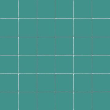50mm CeSi: Silicio (Gloss) 9 tiles