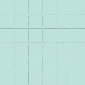 50mm CeSi: Tundra (Gloss) 9 tiles