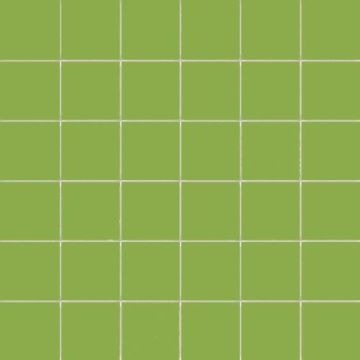 50mm CeSi: Lime (Gloss) 9 tiles