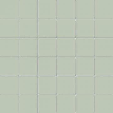 50mm CeSi: Stagno (Gloss)