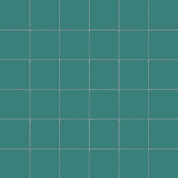 50mm CeSi: Salvia (Matt) 9 tiles