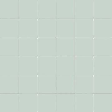 50mm CeSi: Edera (Matt) 9 tiles
