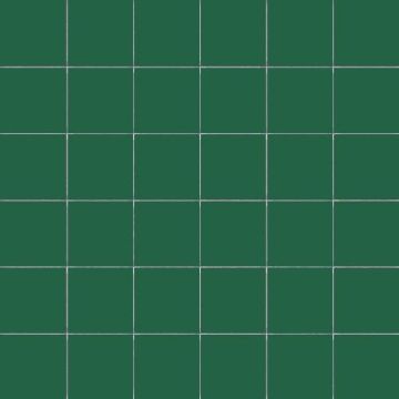 50mm CeSi: Felce (Matt) 9 tiles