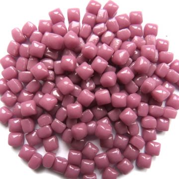 5mm Summer Rose W57 