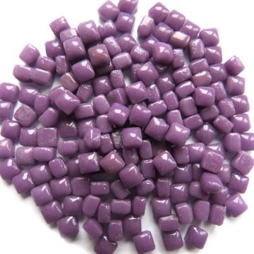 W60 Purple
