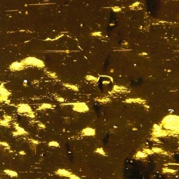AR09 Brass Wavy