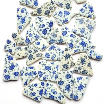 Large Puzzles: Blue Daisy 12 (disc)