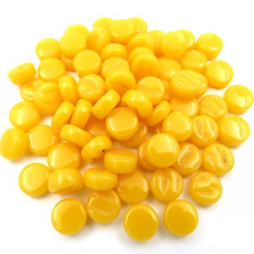 DDotz Goldenrod Bis44