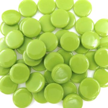 PR Acid Green Bis91