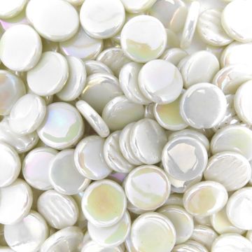 PR Pearlised Ivory Bis98P: 100g