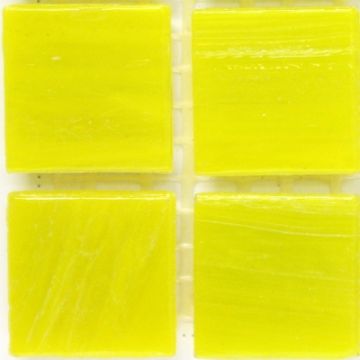 CA91 Yolk 