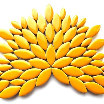 Mini Petals: H101 Curry: 50g