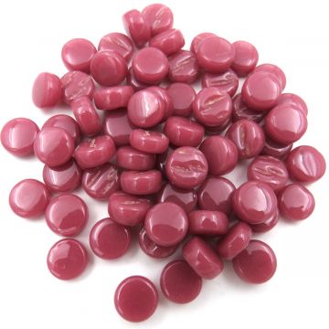 DDotz Raspberry Bis20