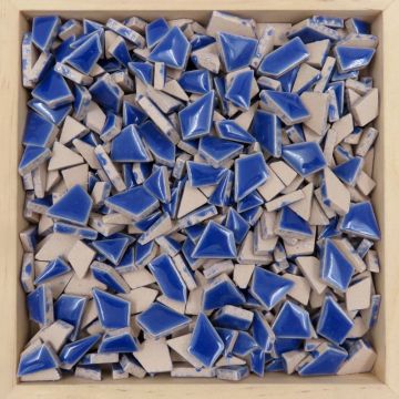 Mini Jigsaw: H191 Delphinium (25g)