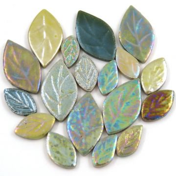 Iridescent Leaf Mix: Ficus
